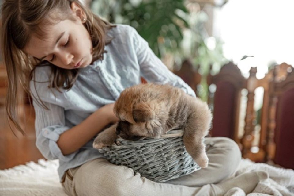 10 Best Pets for Kids in India + Why You Need One! - DailyHawker™