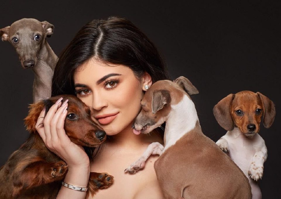 10 Celebrities and Their Favourite Four-Pawed Friends, Dogs