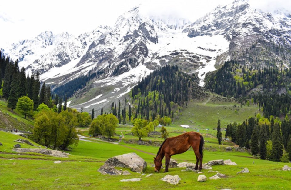 Best Places to Visit in Kashmir for Experiencing Heaven on Earth