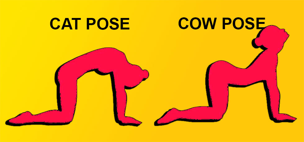 Bitilasana (Cat-Cow Pose)
